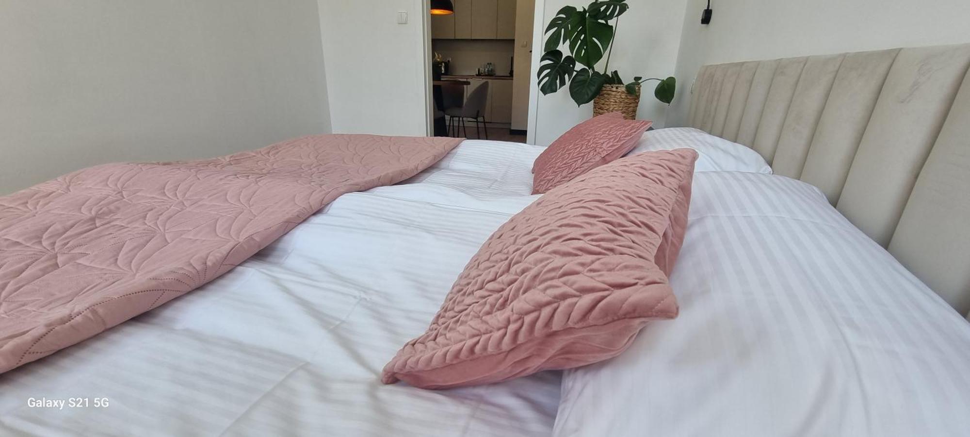Apartament Moje Dabrowno ภายนอก รูปภาพ